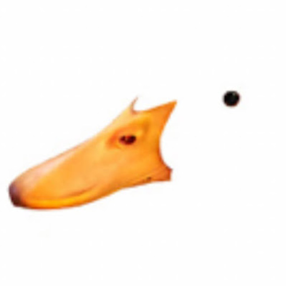 Meet your Posher, Jennifer - Picture 1 of 1